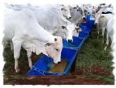 COCHO PARA RAÇÃO AGUA SAL DIVERSOS TIPOS